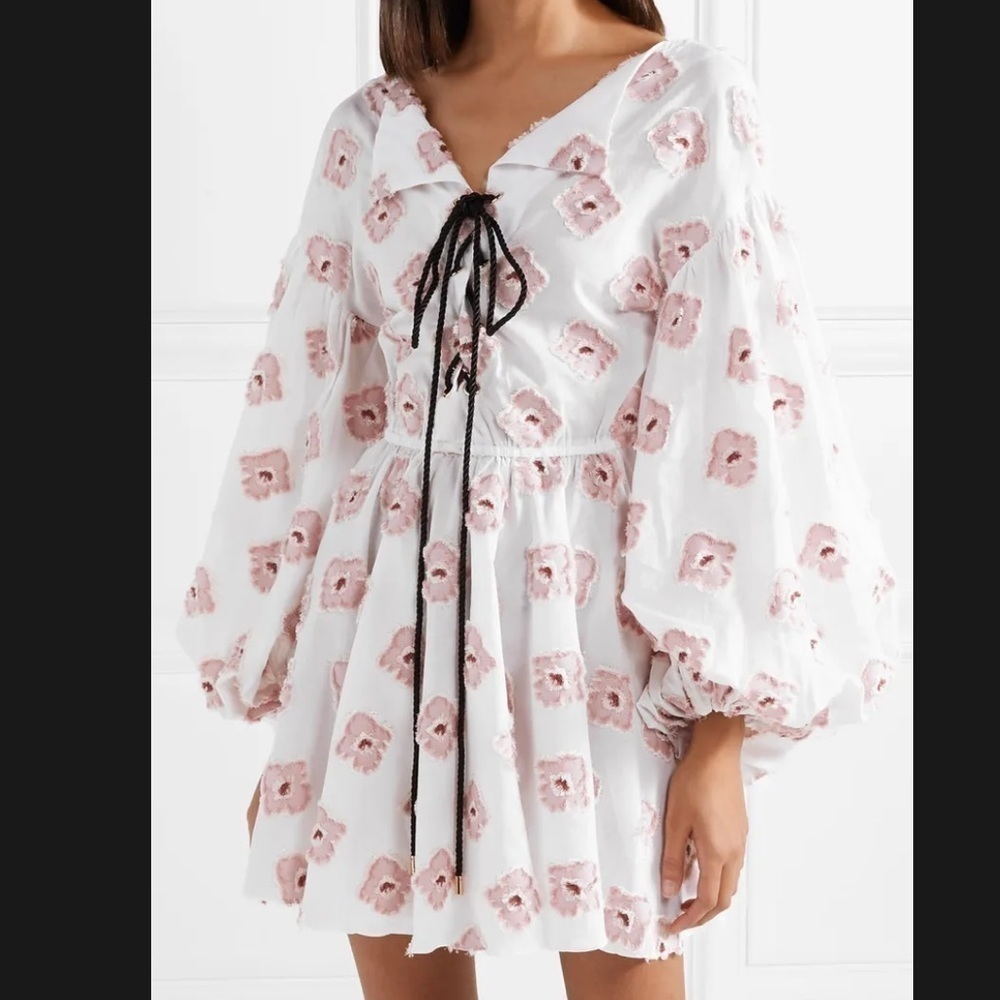 Caroline Constas Olympia Metallic Fil Coupe Floral Mini Dress Size Small Pink